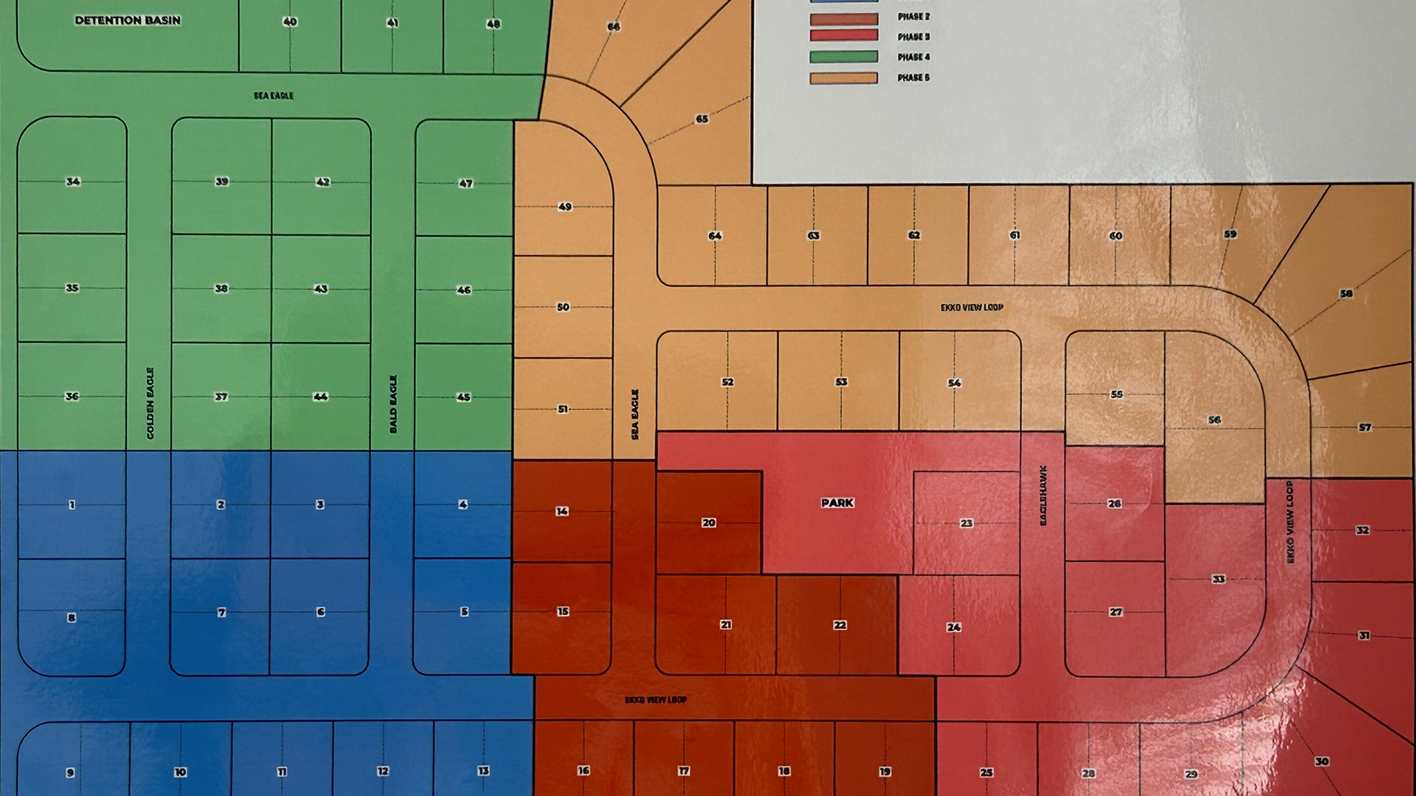 Ekkoview_layout_phases_crop