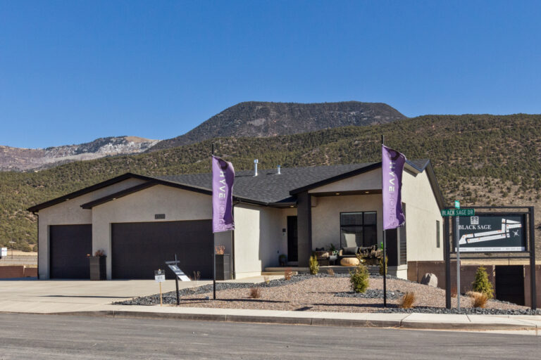 Black Sage by Hyve Homes